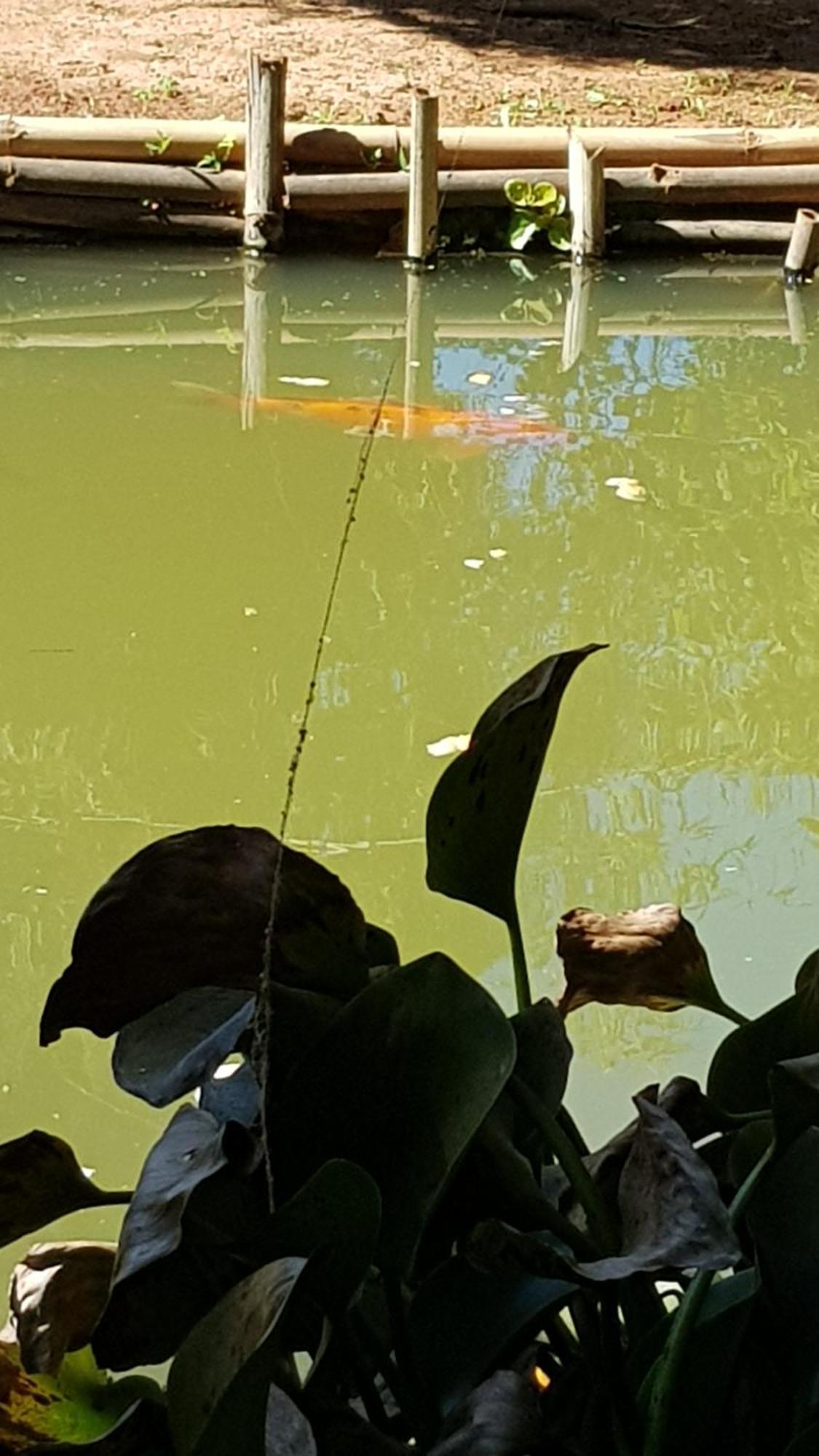 Chales Magia Das Aguas Águas de Lindóia Exteriér fotografie