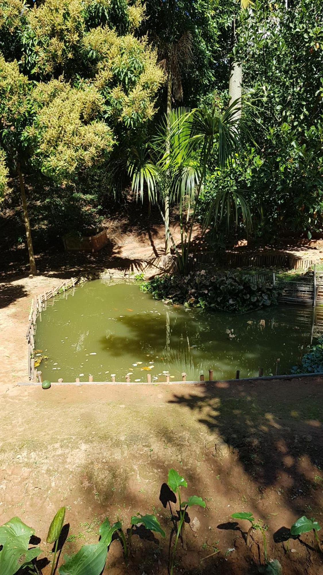 Chales Magia Das Aguas Águas de Lindóia Exteriér fotografie